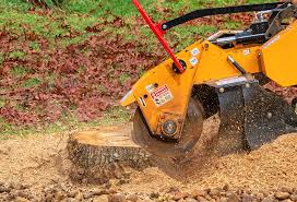 Lawn Grading and Leveling in Cut Bank, MT